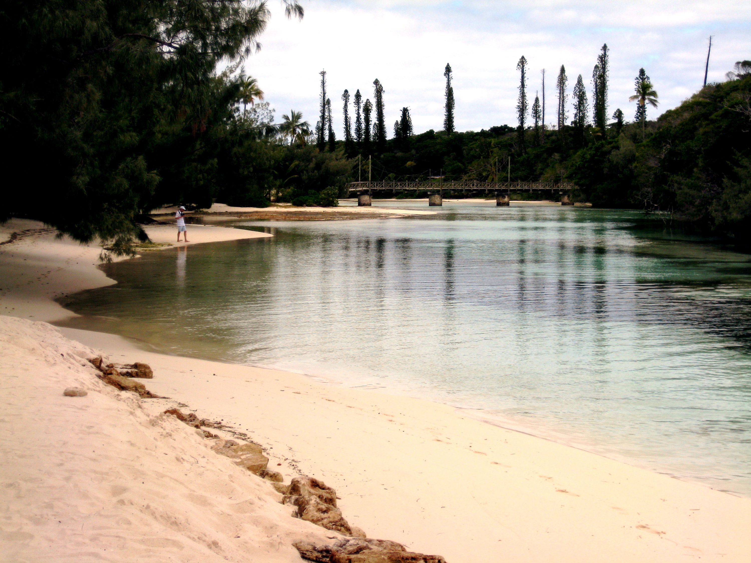 Tidal Pool