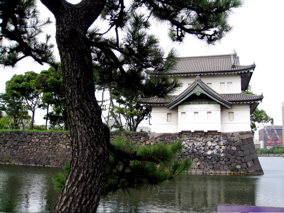 Imperial Palace Tree 2